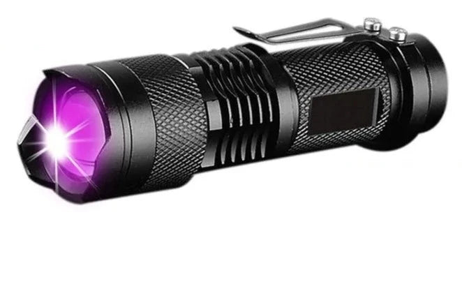 UV LED Flashlight